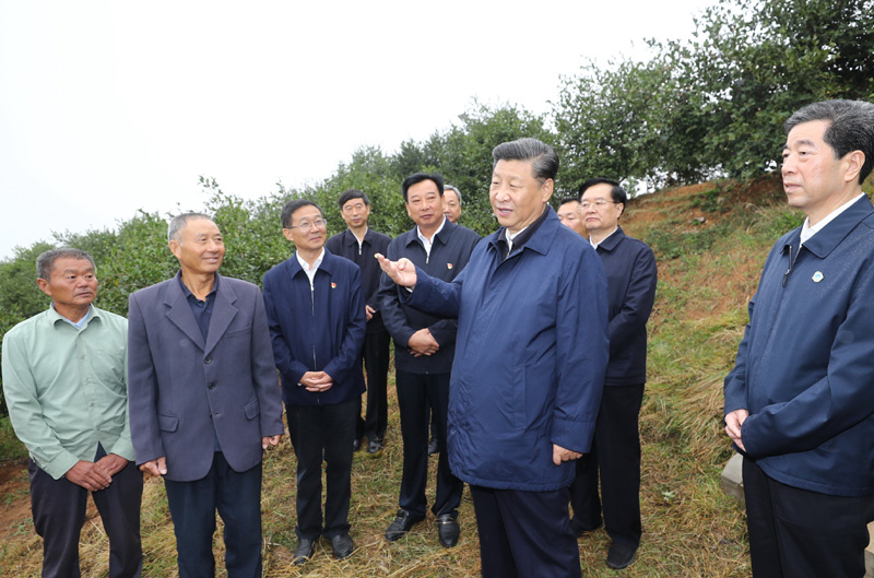 　　9月16日至18日，中共中央總書(shū)記、國(guó)家主席、中央軍委主席習(xí)近平在河南考察。這是17日上午，習(xí)近平來(lái)到信陽(yáng)市光山縣槐店鄉(xiāng)司馬光油茶園，同正在勞作的村民和管理人員交流。 新華社記者 鞠鵬 攝