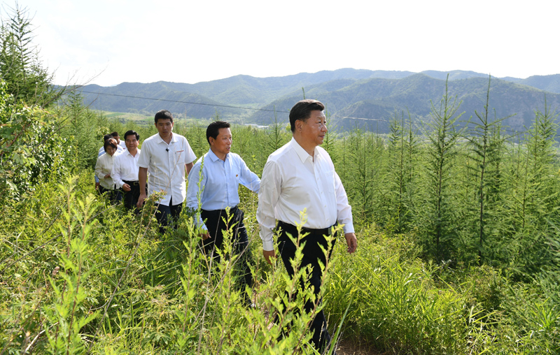 7月15日至16日，中共中央總書記、國家主席、中央軍委主席習(xí)近平在內(nèi)蒙古考察并指導(dǎo)開展“不忘初心、牢記使命”主題教育。這是15日下午，習(xí)近平在赤峰市喀喇沁旗馬鞍山林場(chǎng)林區(qū)，沿著崎嶇的護(hù)林小道察看林木長勢(shì)。